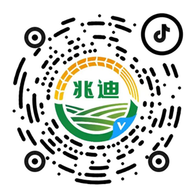 亚投娱乐(中国区)官方网站入口